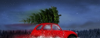 Rotes auto mit christbaum auf dem autodach